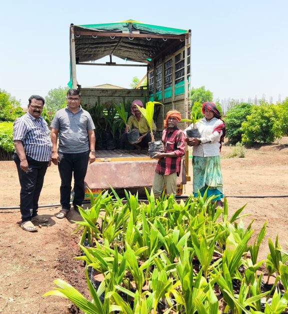Expert support and farming guidance for successful coconut plantation growth.