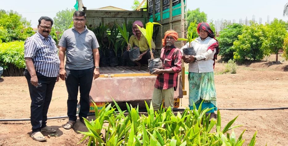 Expert support and farming guidance for successful coconut plantation growth.